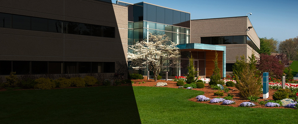 Rancho Mirage Landscapers