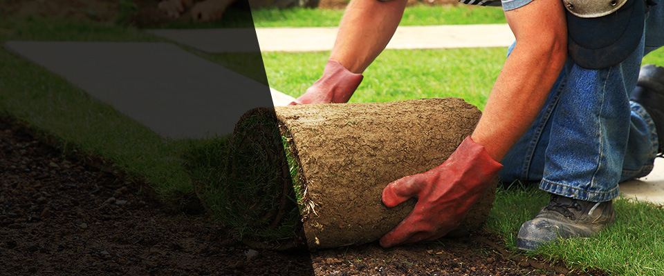 Rancho Mirage Landscapers